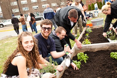 UML students plant herbs in raised garden beds in a community garden on East campus