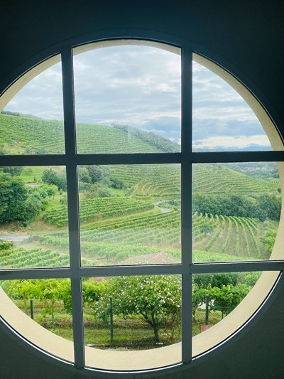 Basque wine country fields out a round window