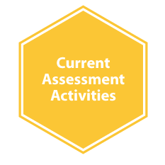 Current assessment activities graphic