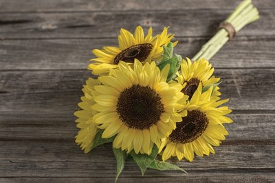 Three sunflowers placed on a simplistic wooden table.