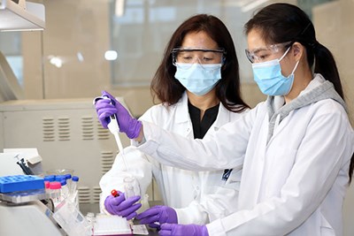 Asst. Prof. Sheree Pagsuyoin works with Ph.D. student Akarapan Rojjanapinun in the lab 