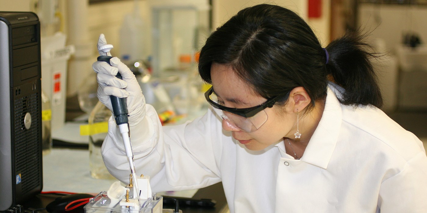 A researcher uses a pipette to load samples into a gel for electrophoresis.