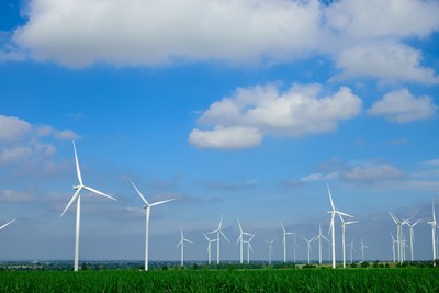 fields-of-wind-turbines