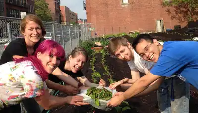Harvest at Mill City Grows