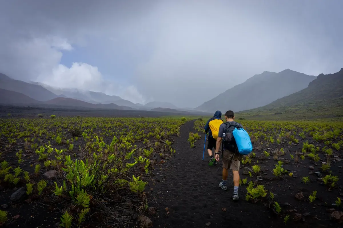 Backpackers walk through a black landscape with green plants and craggy volcanic mountains beyond.