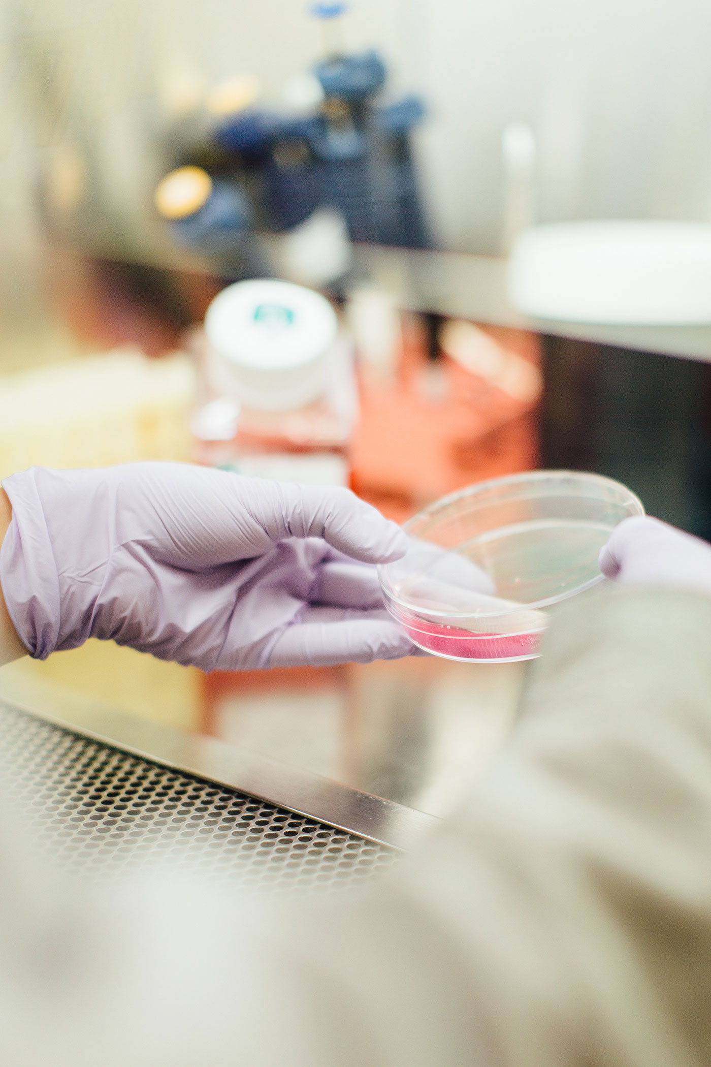 a person examining a petri dish containing a pink substance. 