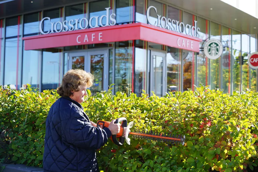 Woman with hedge clippers trims bushes outside Crossroads Cafe