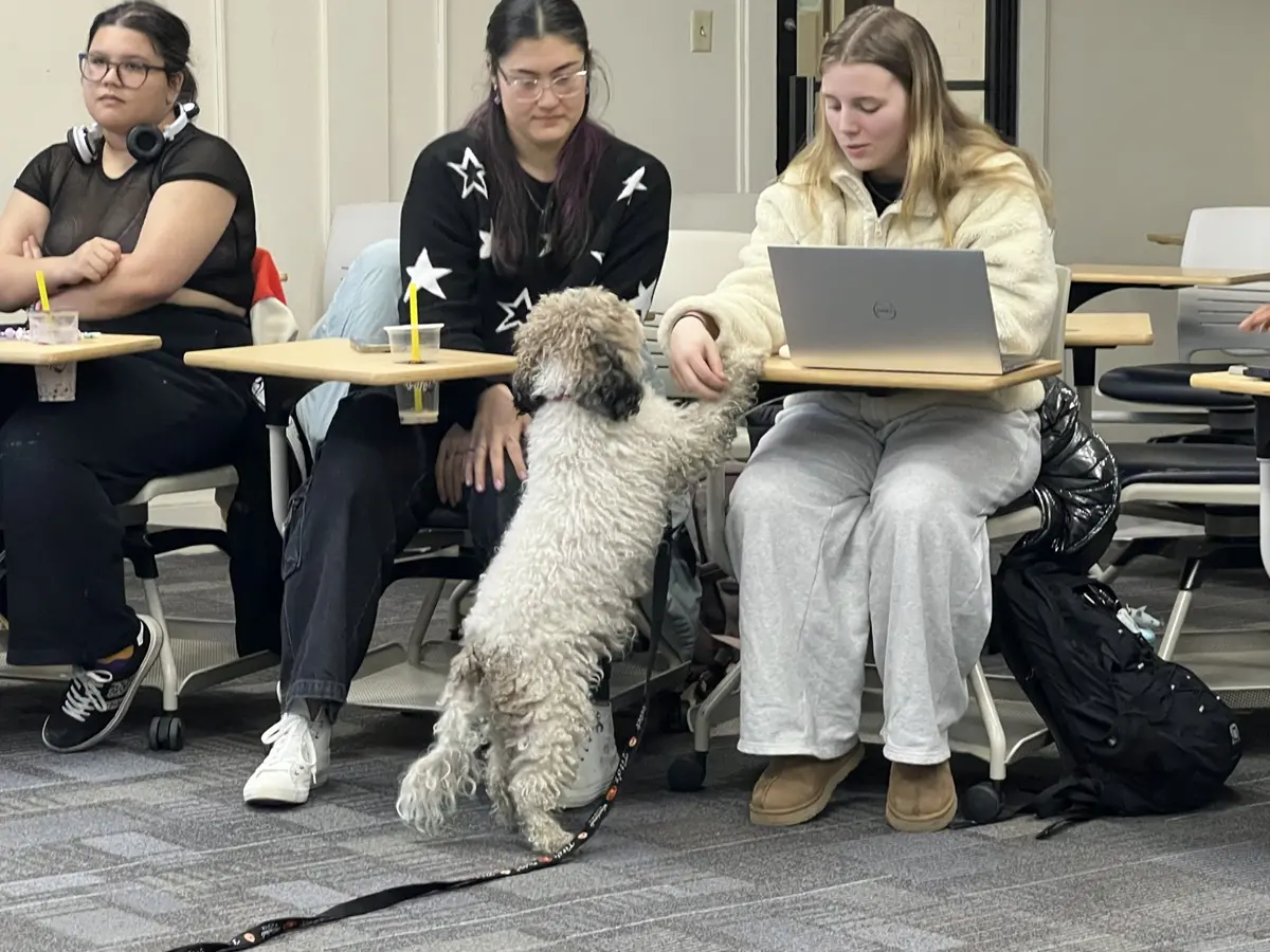 Students at desks in classroom reaching to stroke dog from Lowell Humane Society.