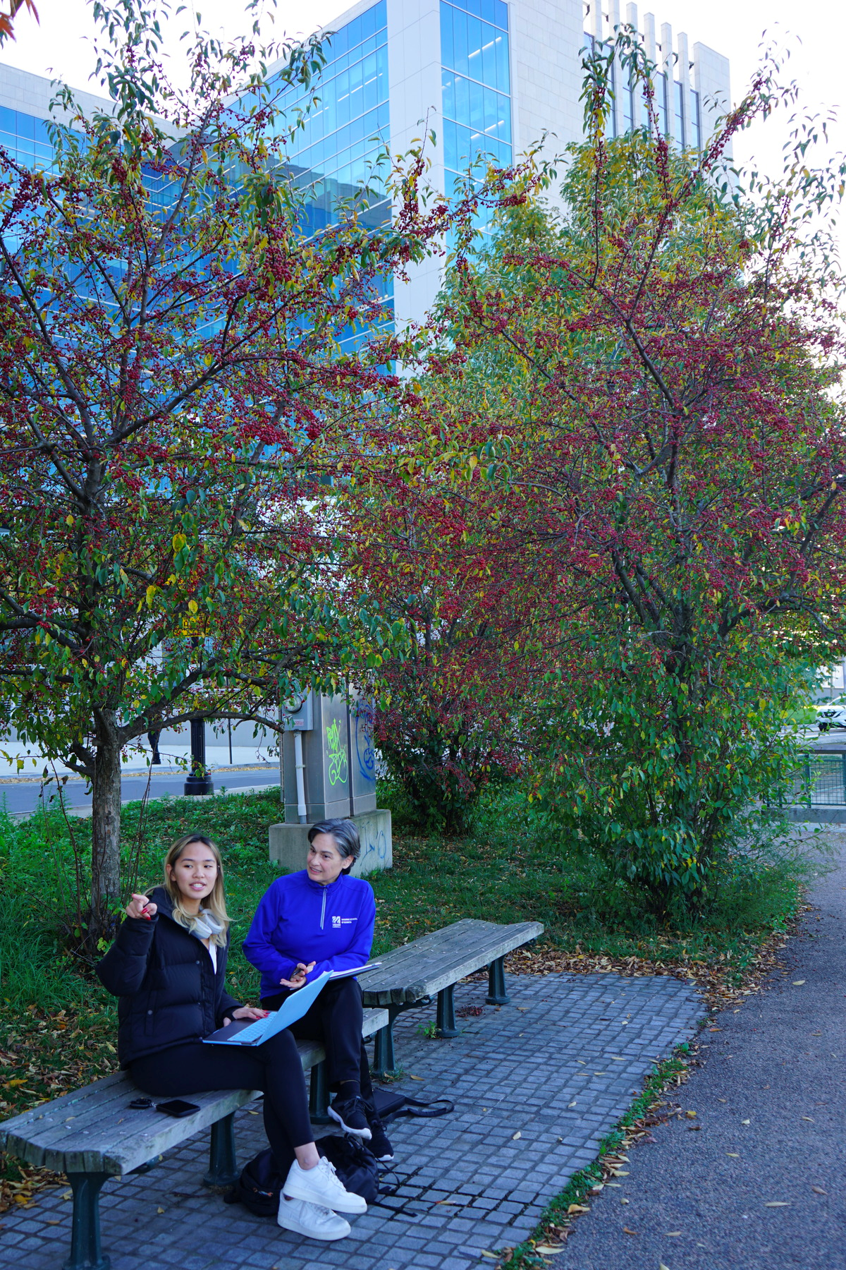 Management Prof. Kimberly Merriman and public health major Thuy Nguyen observe how people use the canalside trails outside the new Lowell Justice Center