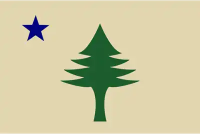 Early Maine flag with blue star and green pine tree
