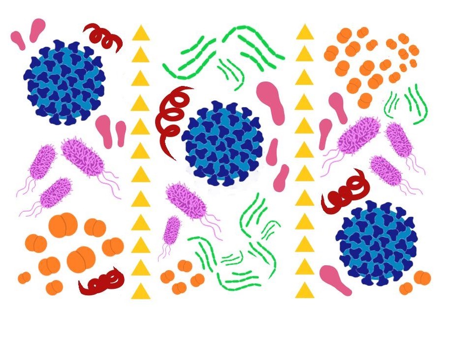 Cartoon drawing of different microorganisms.