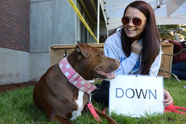 Molly the pit bull and her owner Katie Robinson are a dynamic duo
