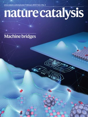 Chemical Engineering Faculty Research Featured on the Cover of Nature Catalysis 