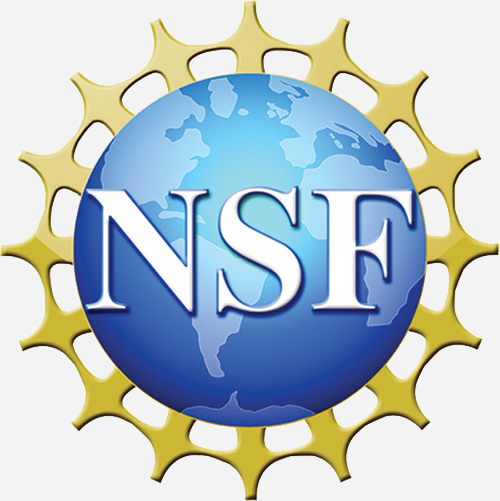 nsf-logo-500-opt.jpg