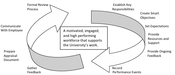 Performance management process cycle 