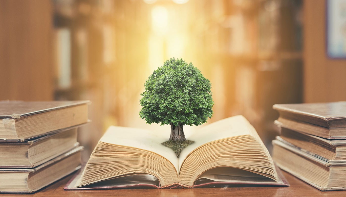 Tiny tree on open book in library