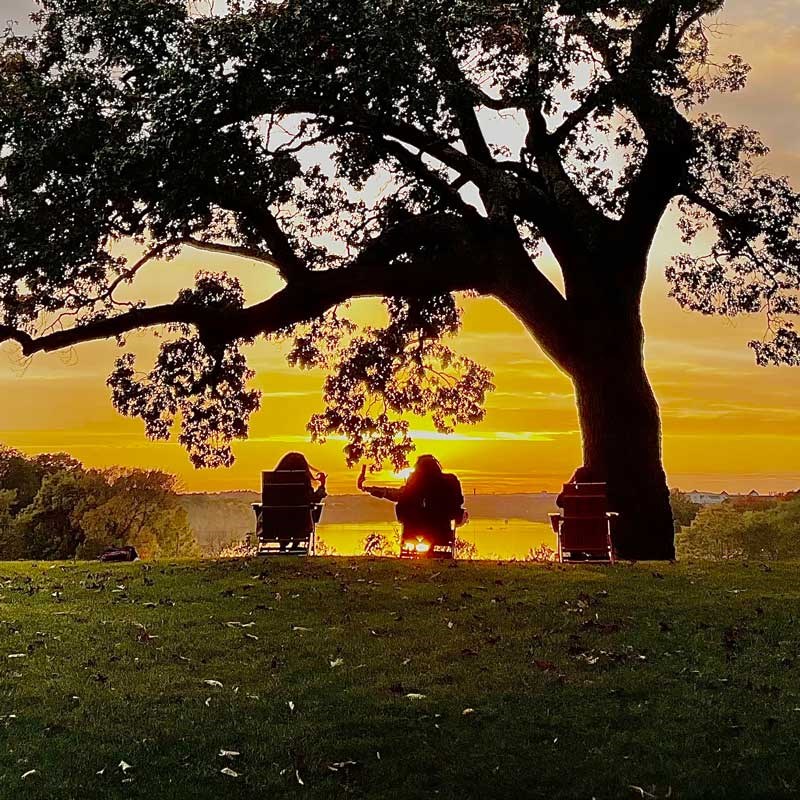 Students sitting under a tree at sunset