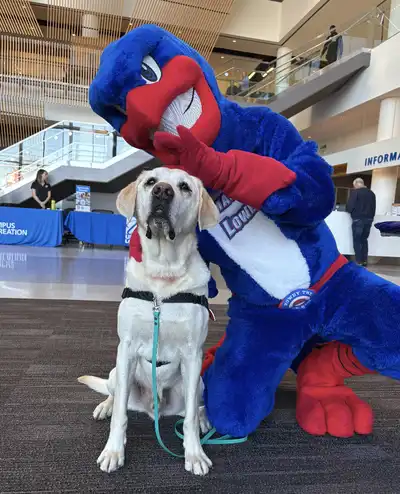 Mascot Rowdy Riverhawk pets a white labrador retriever