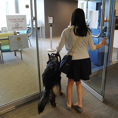 Female student and her guide dog enter an office
