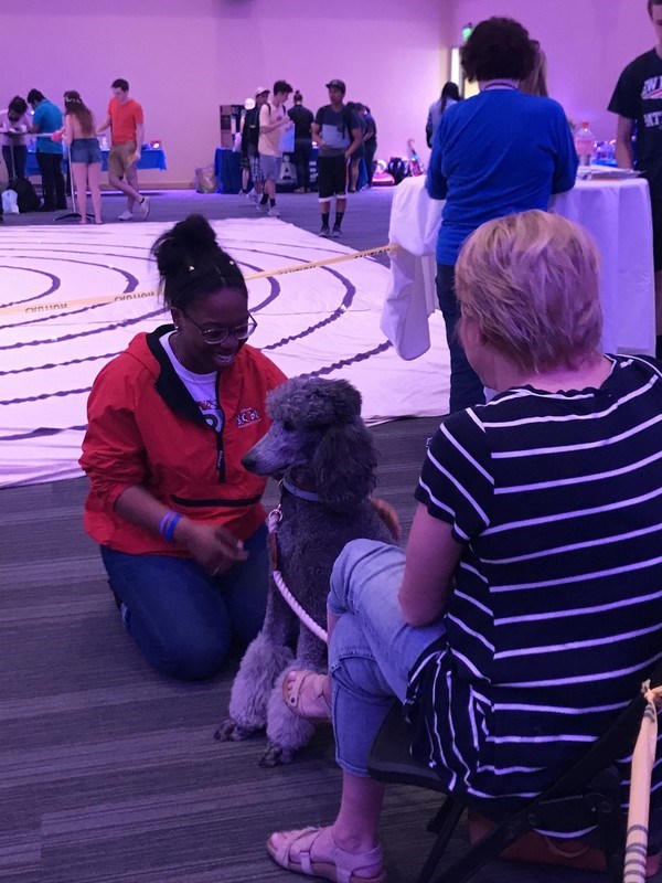 A student spends time with a therapy dog on stress relief day