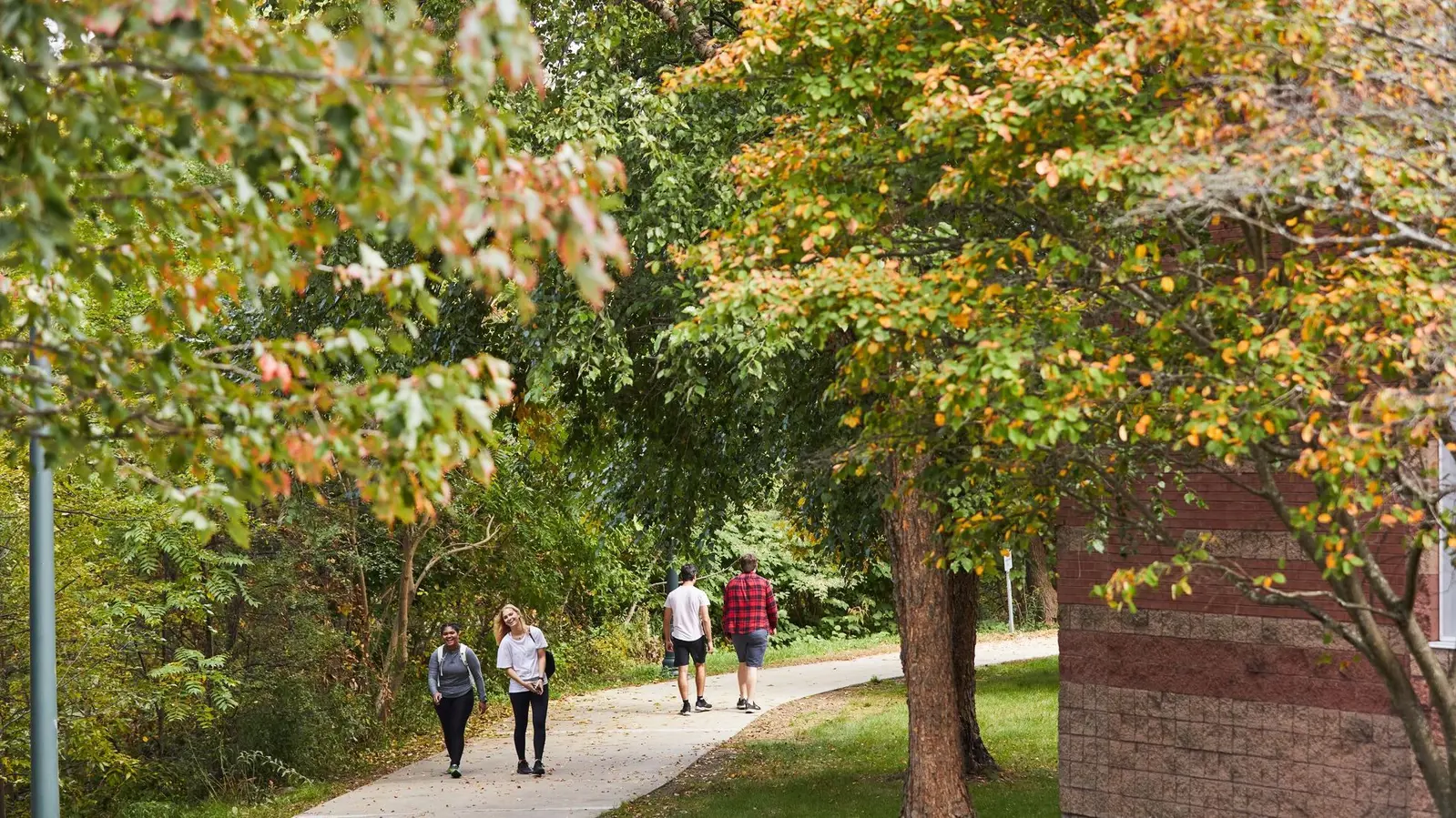 Two students walk toward camera, two walk away on path