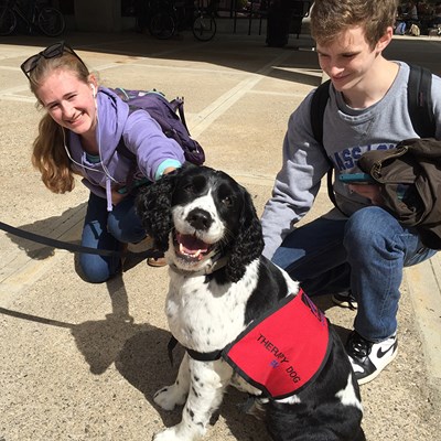 Female and male student pet Ben the therapy dog, a black and white spaniel