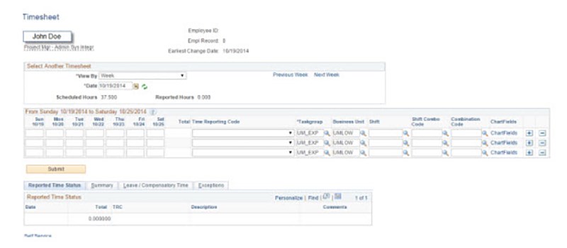 Screen grab of HR Direct website showing an overview of the timesheet interface.