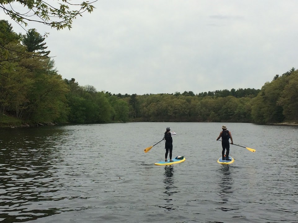 two people stand while paddling away on Stand Up Paddleboards