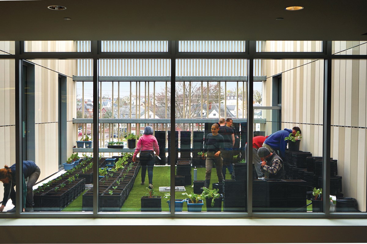 A view from inside of University Crossing of people working at the rooftop vegetable garden outside the second floor landing