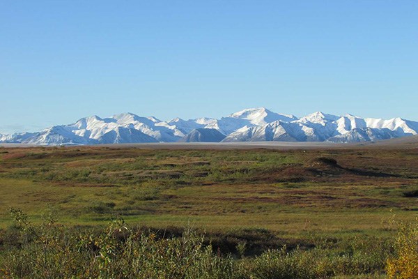 Photo of the arctic tundra ecosystem at Toolik Field Station with the Brooks Range in the background.
