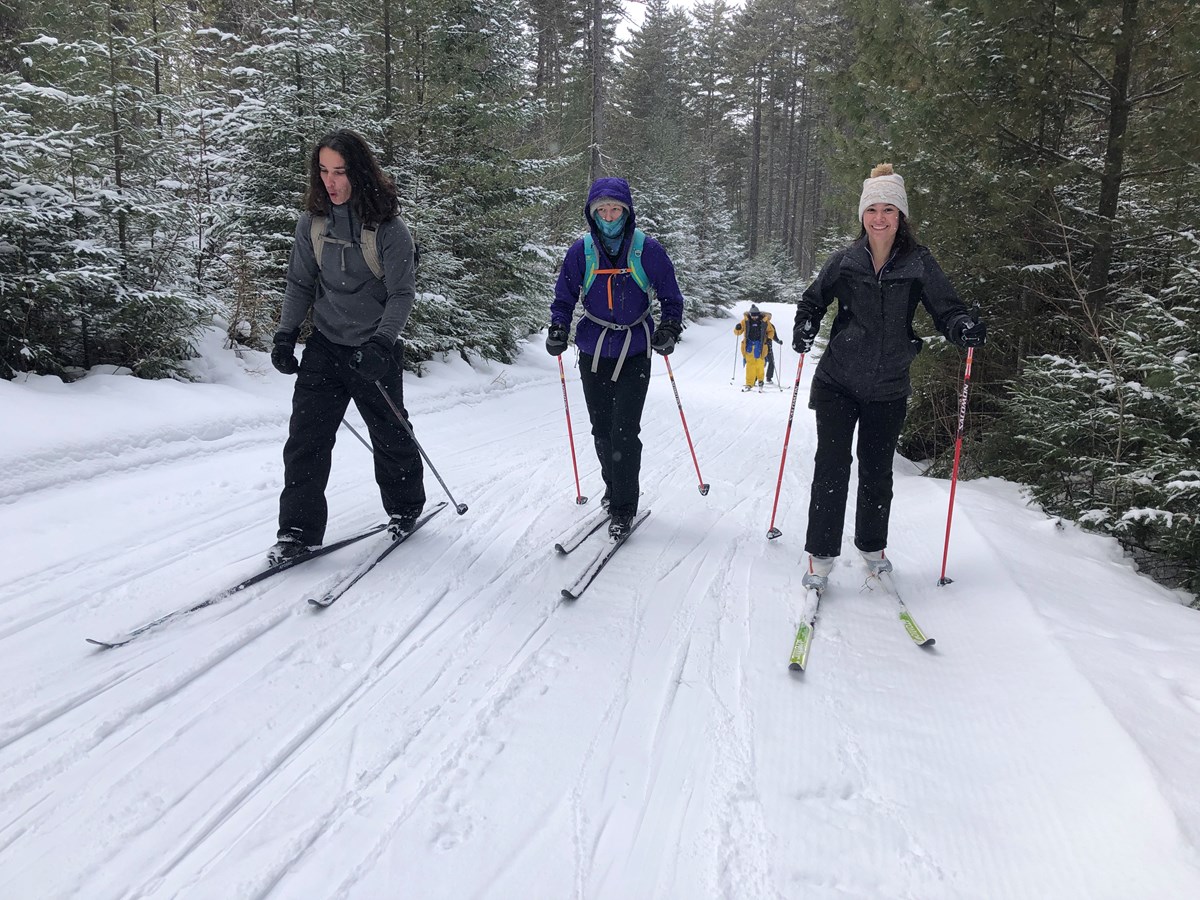 Three people cross country ski up a small hill in the woods.