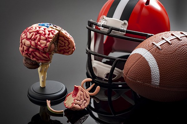 Model brain next to football and helmet