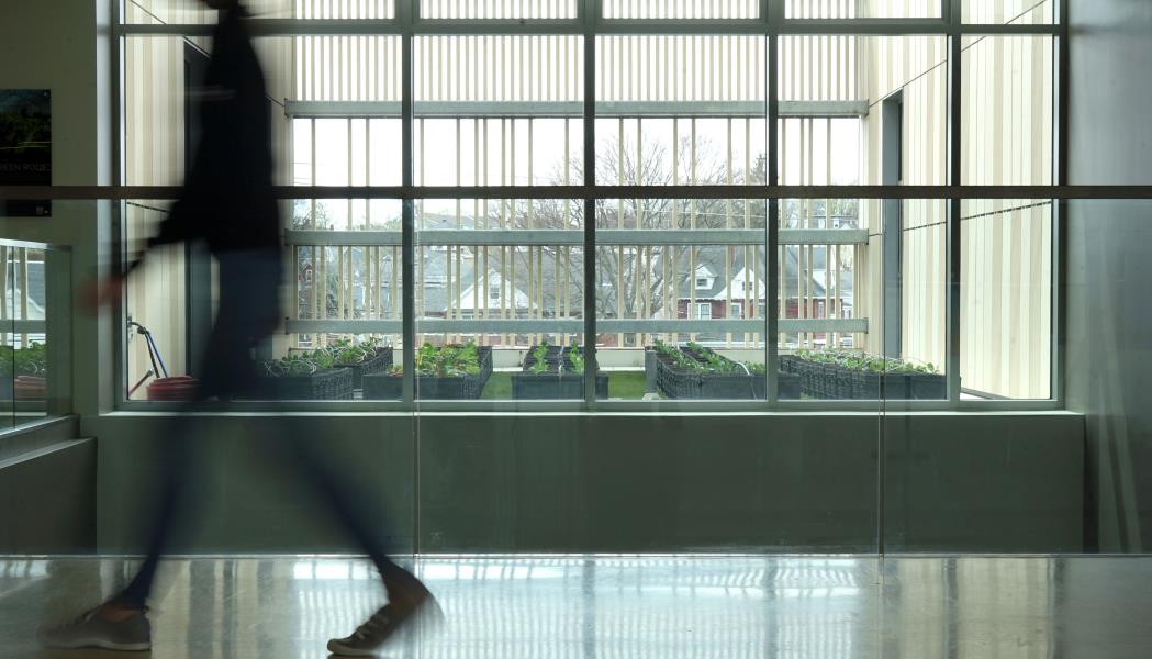 Blurry person walks in foreground of windows onto rooftop gardens at University Crossing.